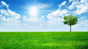 Slider_Clean_and_Green_2_2